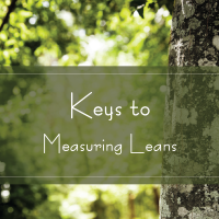 Keys to Measuring Leans